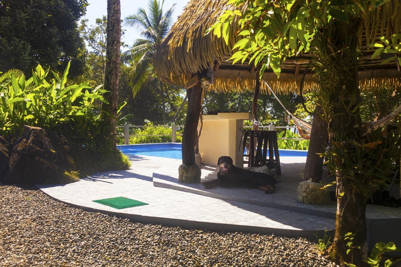 Coconut Grove Oceanfront Cottages Dominical Eksteriør bilde