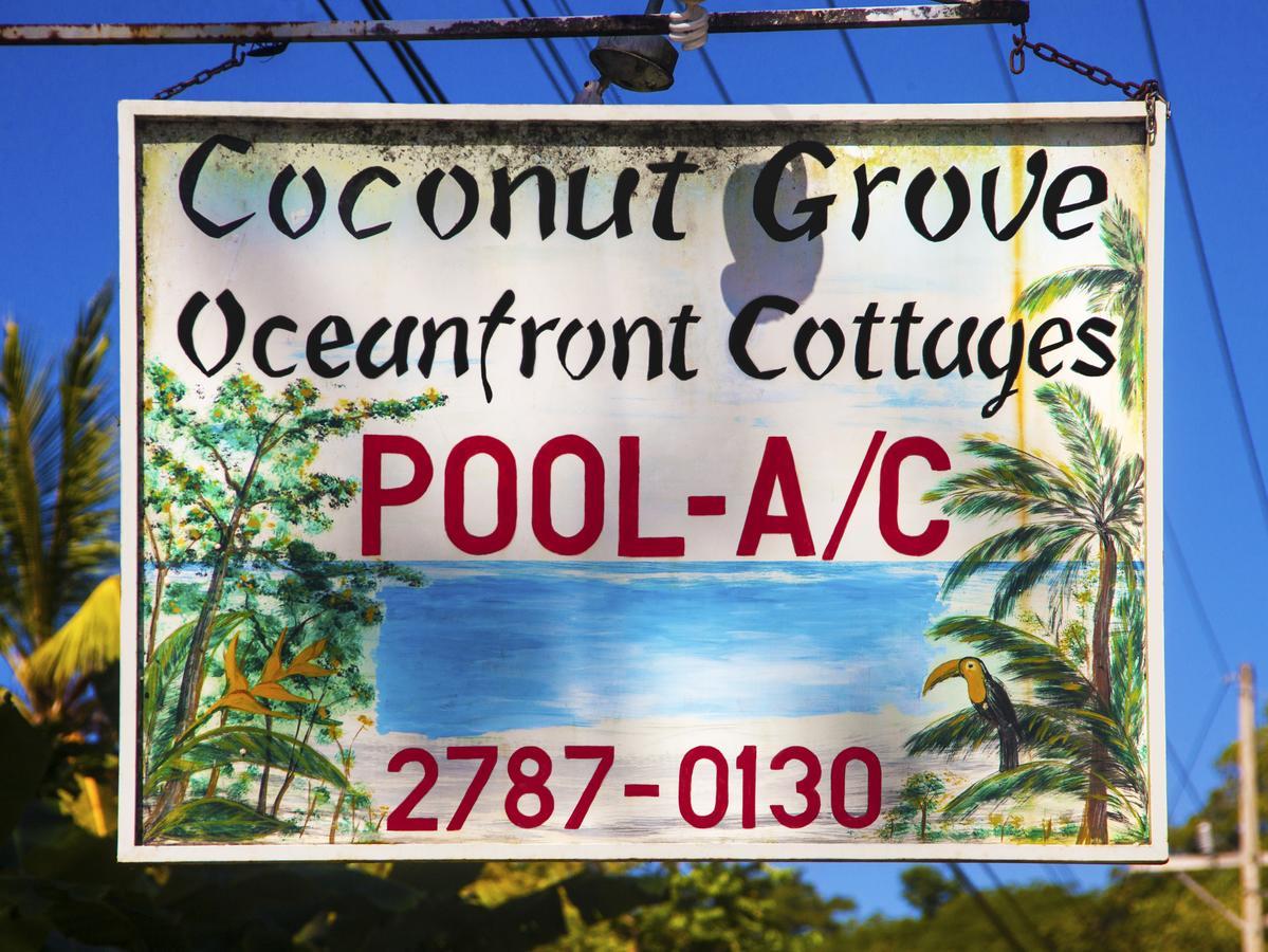 Coconut Grove Oceanfront Cottages Dominical Eksteriør bilde